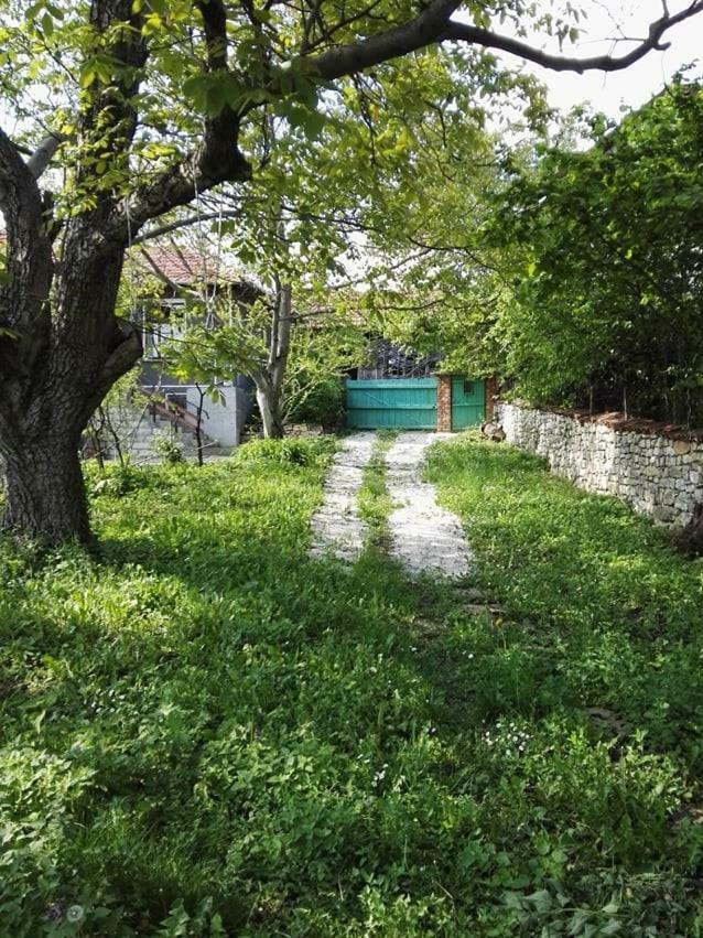 Beefree Villa Gorsko Slivovo Екстериор снимка